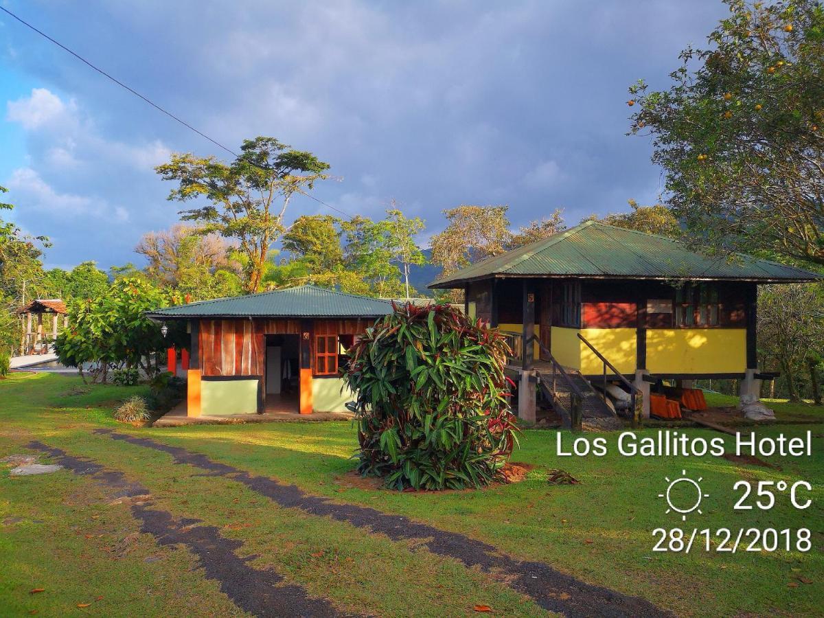 Los Gallitos Eco Lodge San Miguel  Habitación foto