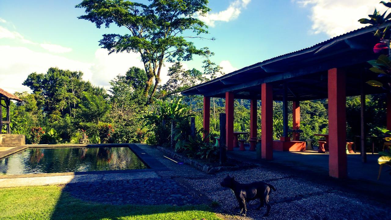 Los Gallitos Eco Lodge San Miguel  Exterior foto