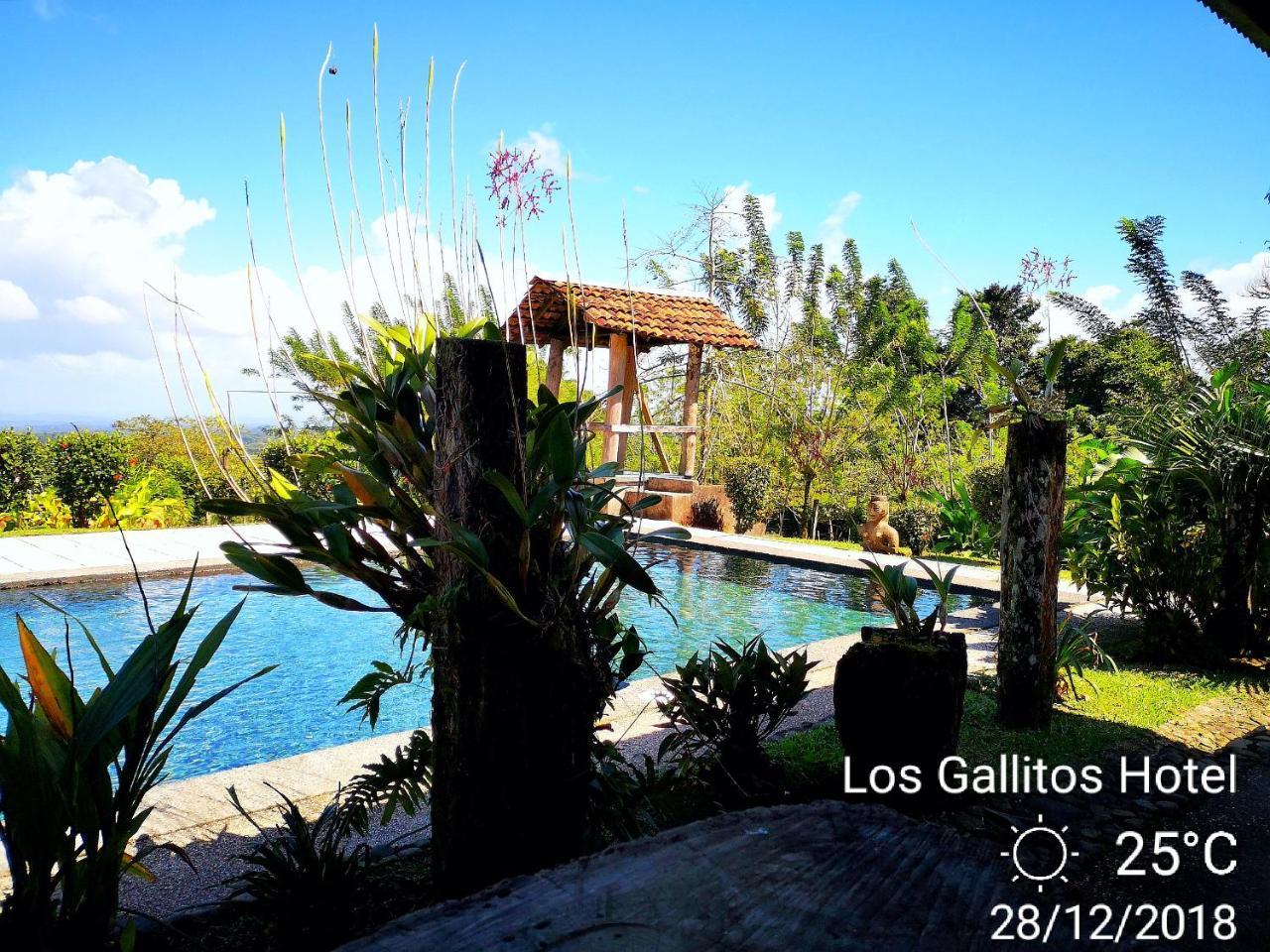 Los Gallitos Eco Lodge San Miguel  Exterior foto